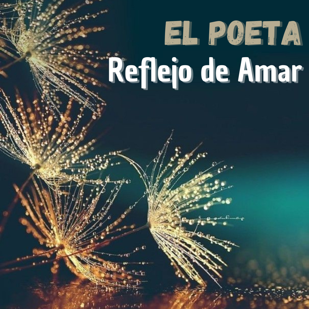 Reflejo de amar