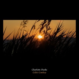 Listen to Celtic Cowboy song with lyrics from Charlotte Funke