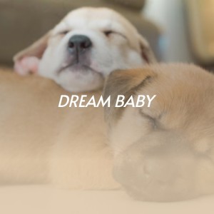 Album Dream Baby from Various