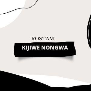 Listen to Kijiwe Nongwa song with lyrics from Rostam