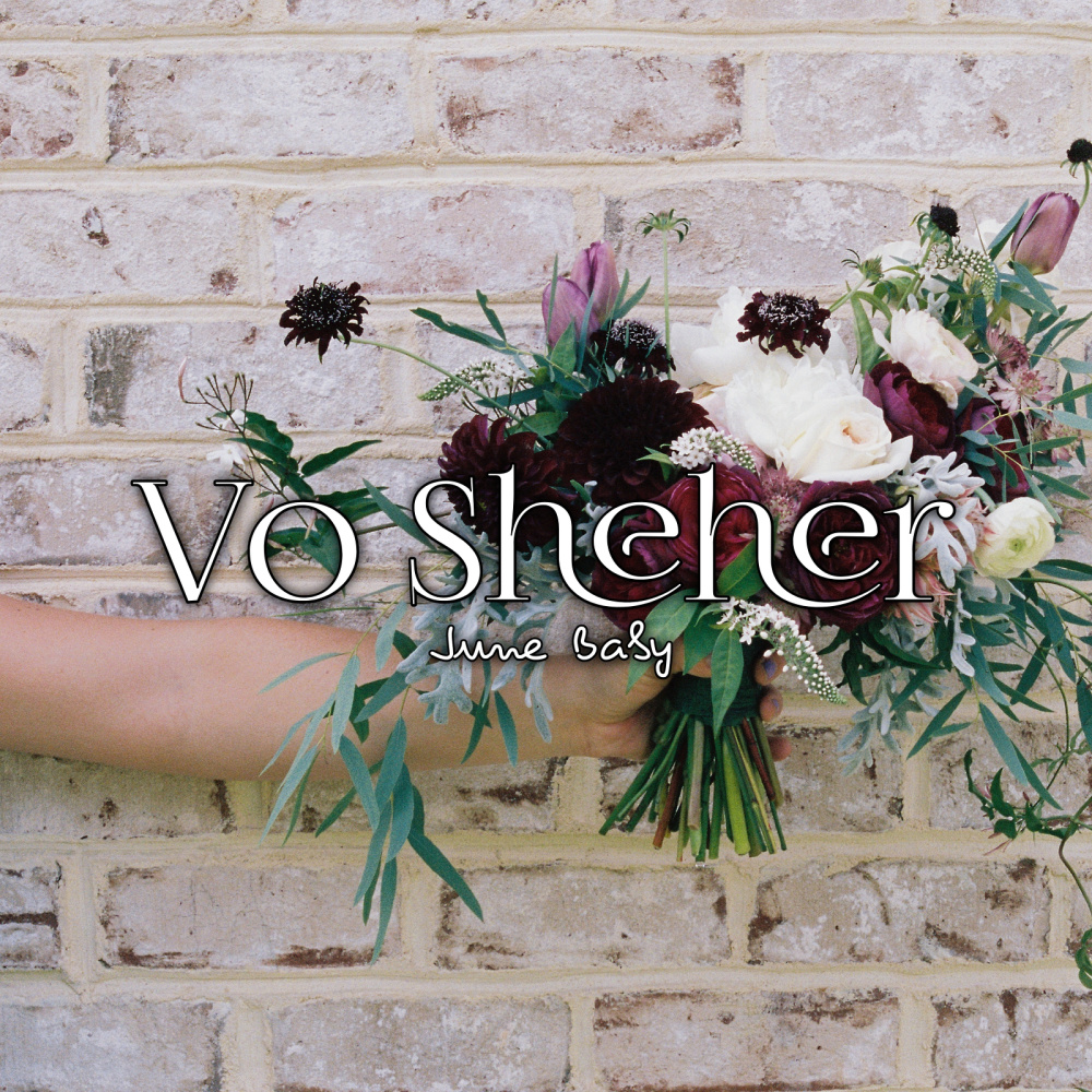 Vo Sheher