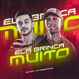 Dengarkan Ela Brinca Muito (Explicit) lagu dari MC 2AH dengan lirik