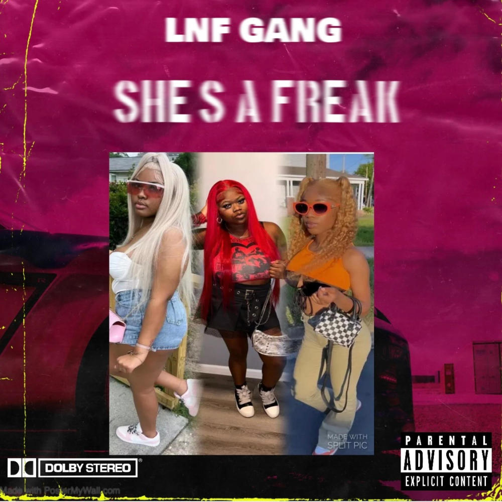 She's a freak (feat. Dski, Cdot & Lyaa tha G) (Explicit)