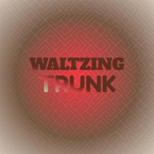 อัลบัม Waltzing Trunk ศิลปิน Various Artists