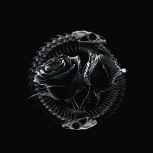 HD-4884的專輯Life, Death, & Birth "II"