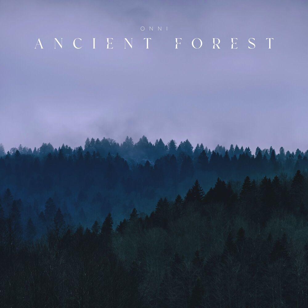 Ancient Forest