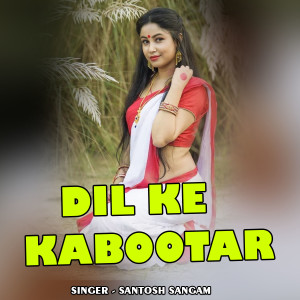 ดาวน์โหลดและฟังเพลง Dil Ke Kabootar พร้อมเนื้อเพลงจาก Santosh Sangam