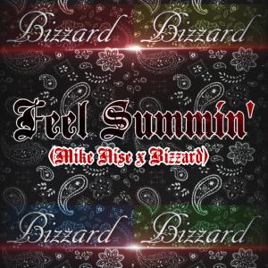 收聽Bizzard的Feel Summin' (feat. Mike Nise) (Explicit)歌詞歌曲
