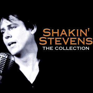 ดาวน์โหลดและฟังเพลง Because I Love You พร้อมเนื้อเพลงจาก Shakin' Stevens