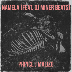 Album Namela from prince j malizo