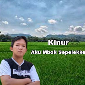 Listen to Aku Mbok Sepelekke song with lyrics from Kinur