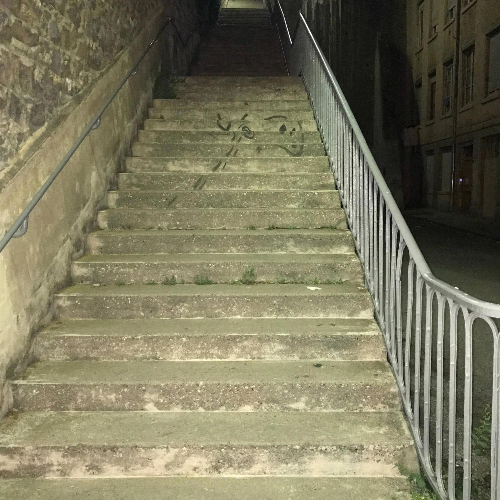 lyonnais