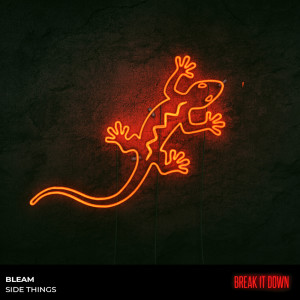 Album Side Things oleh Bleam