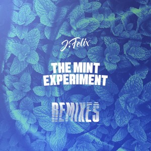 Album THE MiNT EXPERiMENT Remixes from J-Felix