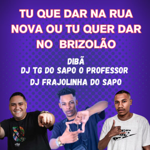 ดาวน์โหลดและฟังเพลง TU QUE DAR NA RUA NOVA OU TU QUER DAR NO  BRIZOLÃO (Explicit) พร้อมเนื้อเพลงจาก Diba