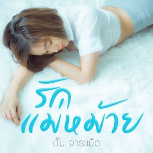 Album รักแม่หม้าย oleh ปั้ม จาระเม็ด