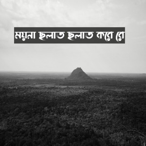 Listen to Moyna Cholat Cholat Kore Re song with lyrics from Mubin TusHar