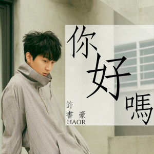收聽許書豪的你好嗎歌詞歌曲