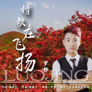 Album 情歌在飞扬 from 罗静