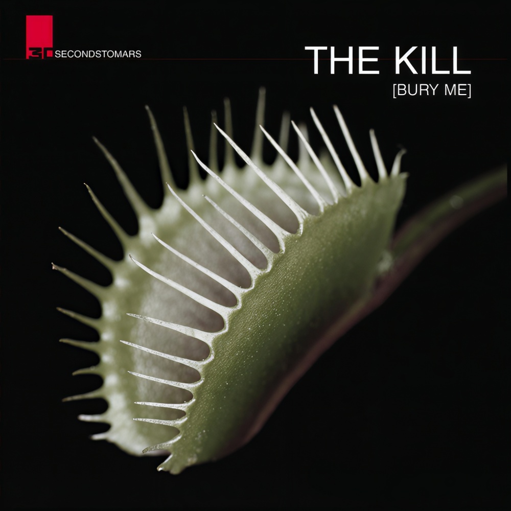 The Kill (Portuguese Version)