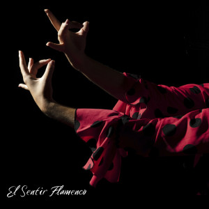 ดาวน์โหลดและฟังเพลง Amé Una Vez พร้อมเนื้อเพลงจาก Fernando Soto