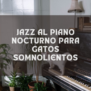 Album Jazz Al Piano Nocturno Para Gatos Somnolientos oleh Piano relajante profundo