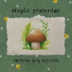 rainbow frog biscuits的專輯Stupid Yesterday