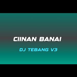 Cinaan dari DJ TEBANG