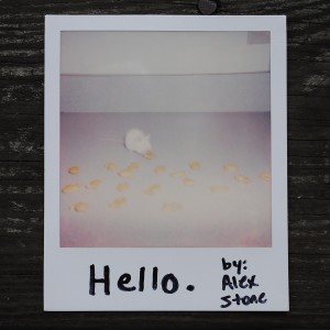 收聽Alex Stone的Elton歌詞歌曲