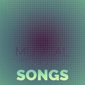 อัลบัม Musical Wonderful Songs ศิลปิน Various Artists