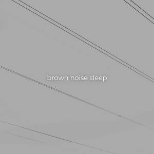 Album brown noise sleep oleh White Noise Therapy