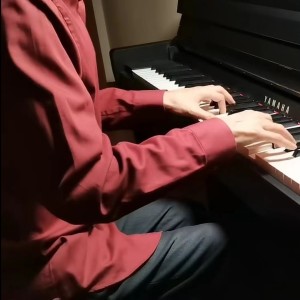 Listen to 女儿情 (翻奏: 段银莹) (完整版) song with lyrics from 许鹏