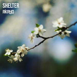 ดาวน์โหลดและฟังเพลง Shelter พร้อมเนื้อเพลงจาก Akayo