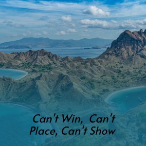 收听Eddy Arnold的Can't Win, Can't Place, Can't Show歌词歌曲