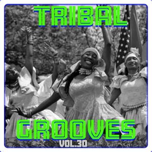 อัลบัม Tribal Grooves Vol. 30 ศิลปิน Umar M Sharif