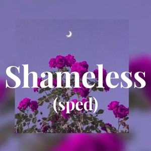 Camila Caballo的专辑Shameless - (sped)