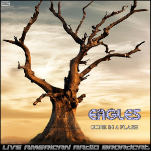 Gone In a Flash (Live) dari The Eagles