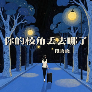 Album 你的棱角丢去哪了 from 段晓晓