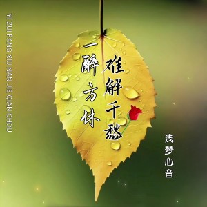 Album 一醉方休难解千愁(男声版) from 浅梦心音