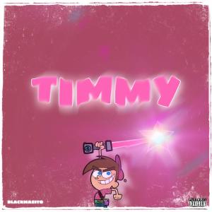 Album Timmy (Explicit) from BlackMasito