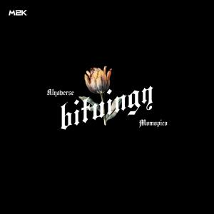Album Bituing from 