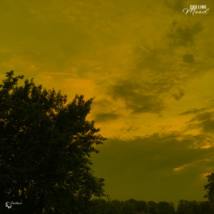 Listen to Full of Details song with lyrics from Duenec