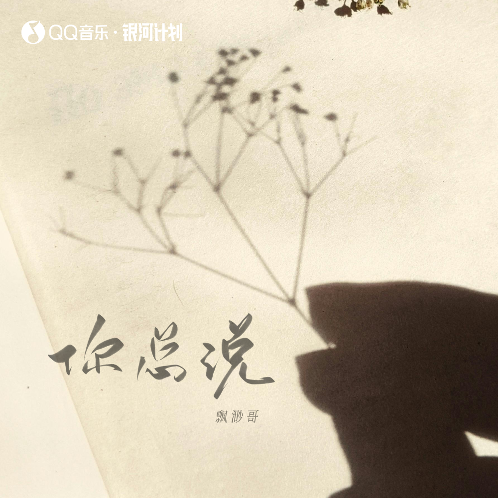 你总说 (伴奏)