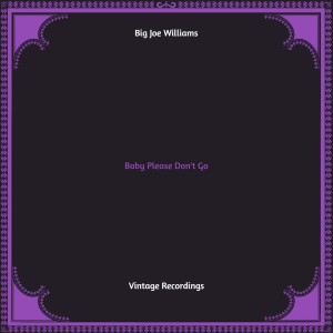Big Joe Williams的专辑Baby Please Don't Go (Hq remastered)