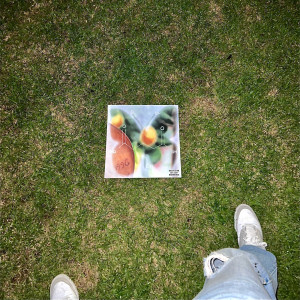 收聽Chloe George的Grass Stains (Explicit)歌詞歌曲