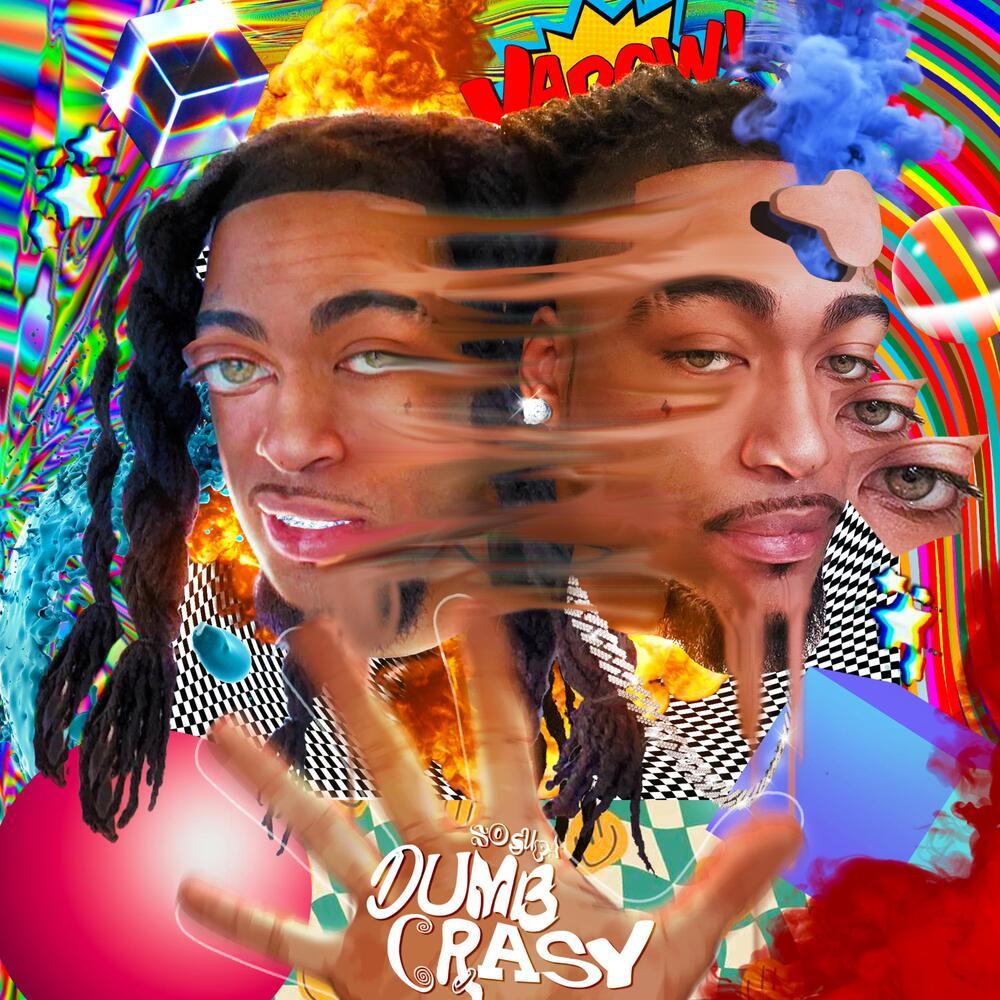 DUMB CRASY 5 (Explicit)