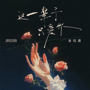 Album 这一辈子只爱你 from 金钰晨