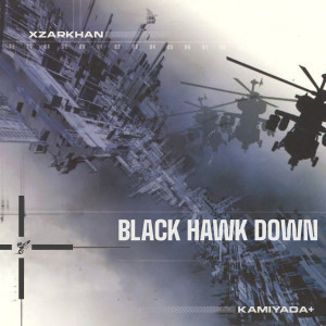 Listen to Black Hawk Down (Instrumental) song with lyrics from XZARKHAN