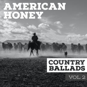 Various Artists的專輯American Honey Vol.2  - Country Ballads