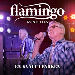 ดาวน์โหลดและฟังเพลง Hjärtat Har Sina Skäl พร้อมเนื้อเพลงจาก Flamingokvintetten